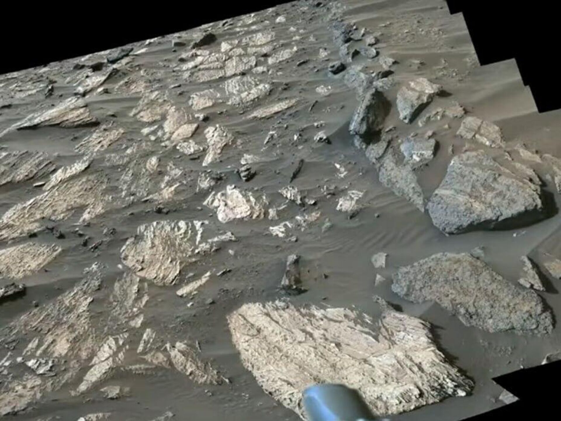 Preview NASA Scientists Believe Ancient Life Signs Found on Mars