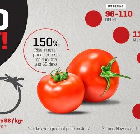 The «Tomato War» Between Moscow and Baku Has Not Yet Affected Tomato Prices