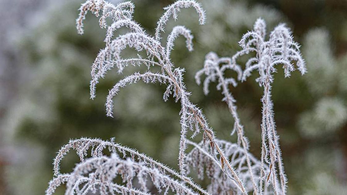 Preview Night Frosts Arrive in the Moscow Region