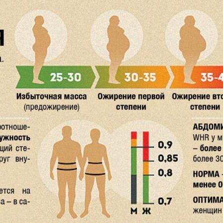 Умеренный избыток веса: ключ к долголетию?