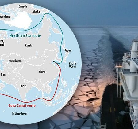 Academician Evaluates Northern Sea Route Development Prospects