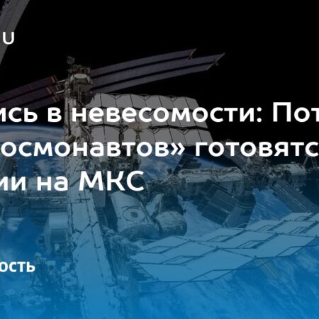Потомки мух-дрозофил из миссии «Бион-М» отправятся на МКС