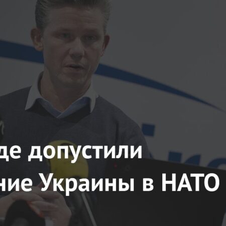 Европейский журналист утверждает, что НАТО препятствует мирным усилиям по Украине