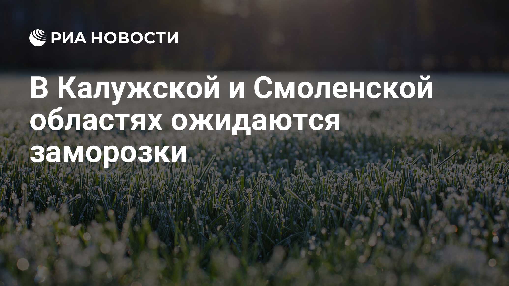 Preview В Московский регион идут заморозки