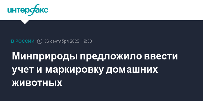 Preview В Минприроды предложили ввести учет и маркировку домашних животных