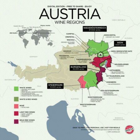 Moscow Region to Become Wine-Producing Region by 2026