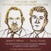 Nobel Prize in Medicine Awarded for Regulatory T-Cell Discovery