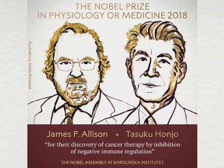Nobel Prize in Medicine Awarded for Regulatory T-Cell Discovery