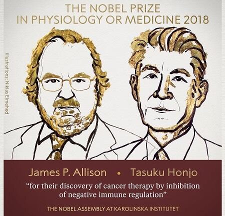 Nobel Prize in Medicine Awarded for Regulatory T-Cell Discovery