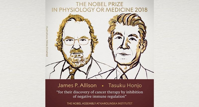 Preview Nobel Prize in Medicine Awarded for Regulatory T-Cell Discovery