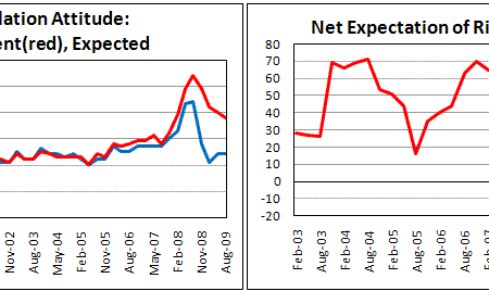Time to Stock Up: Products Expected to Rise in Price Before New Year’s