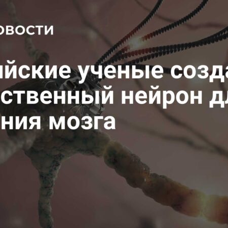 Российские ученые создали искусственный нейрон для изучения мозга