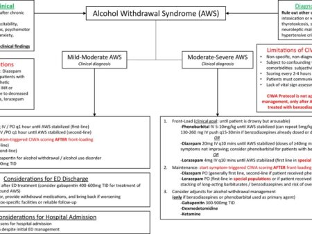 New Clinical Guidelines for Alcohol-Related Amnestic Syndrome Approved in Russia