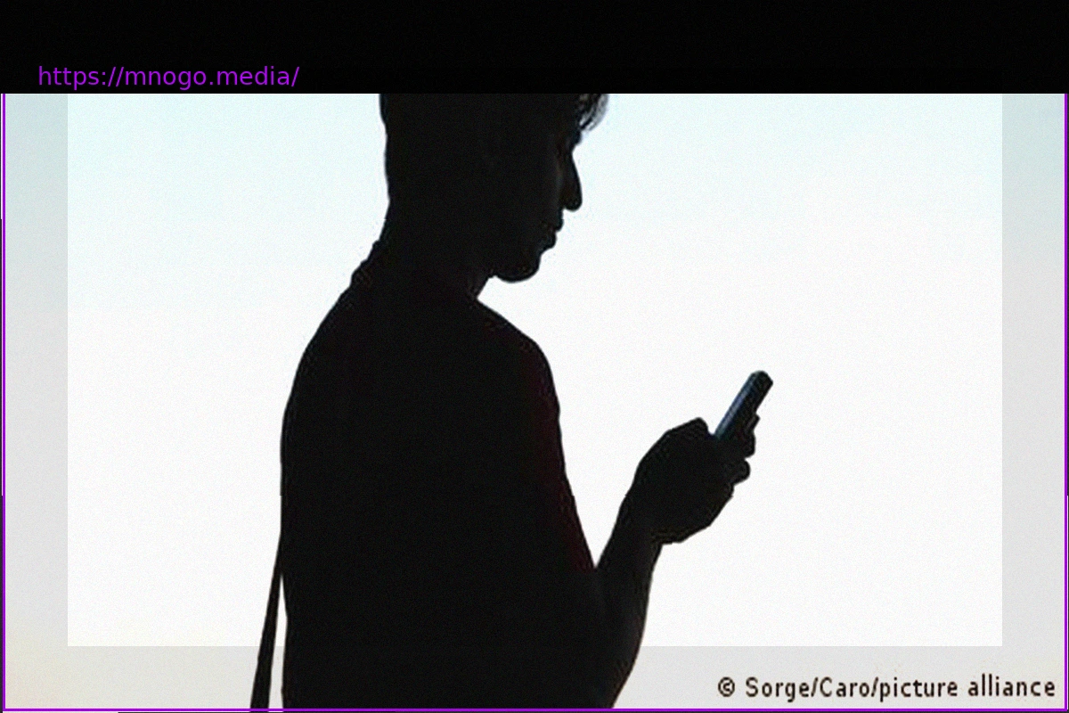 Preview Chatbots as Advisors: The Peril of Artificial Compliments