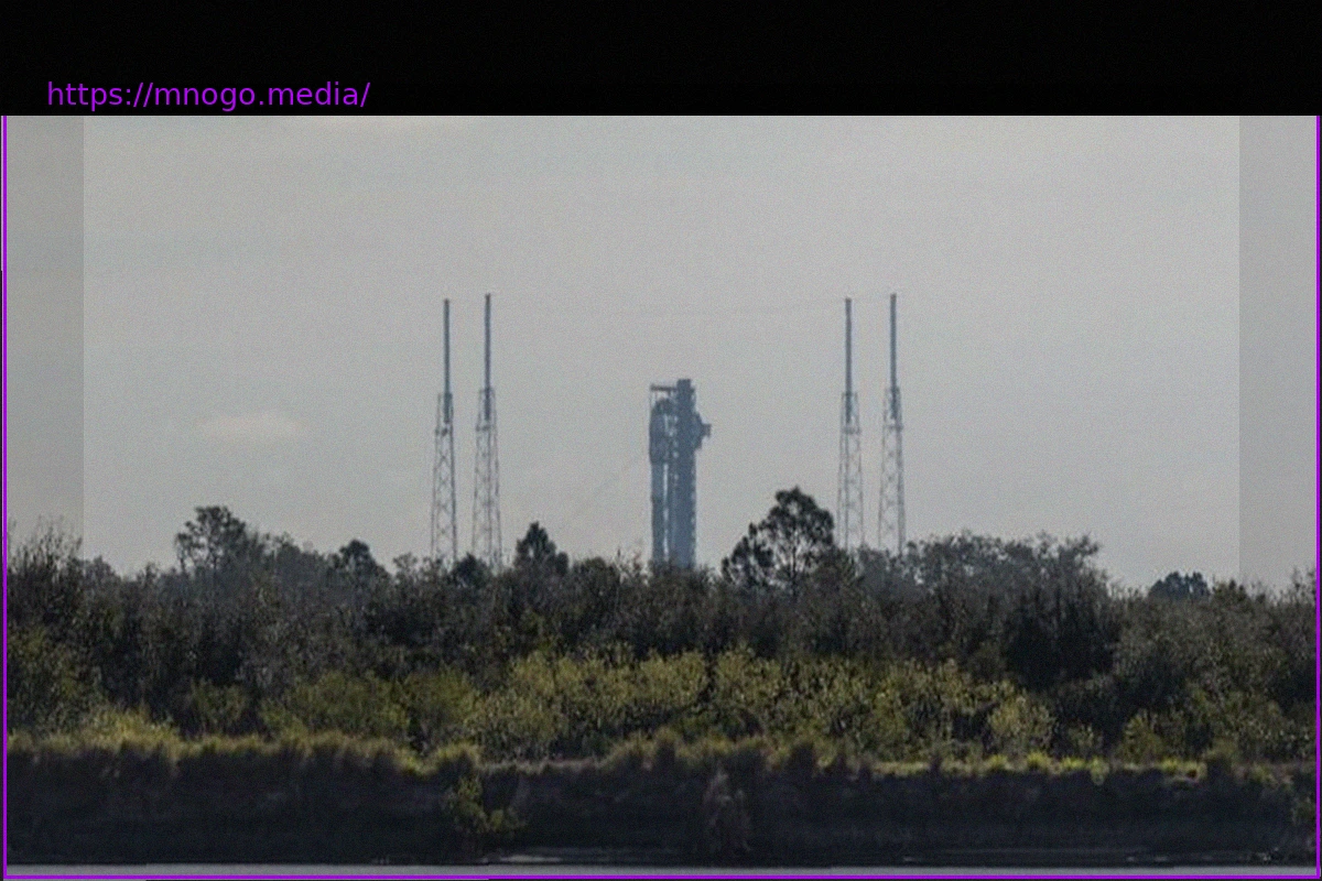 Preview SpaceX Readies Falcon 9 for Starlink Launch with 29 Satellites from Cape Canaveral