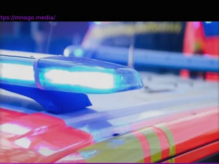 Tragic Collision Near Heppenheim Claims Lives of Driver and Horse