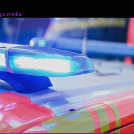 Tragic Collision Near Heppenheim Claims Lives of Driver and Horse