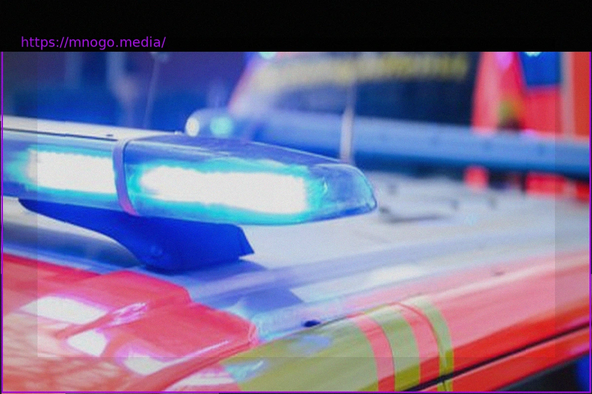 Preview Tragic Collision Near Heppenheim Claims Lives of Driver and Horse