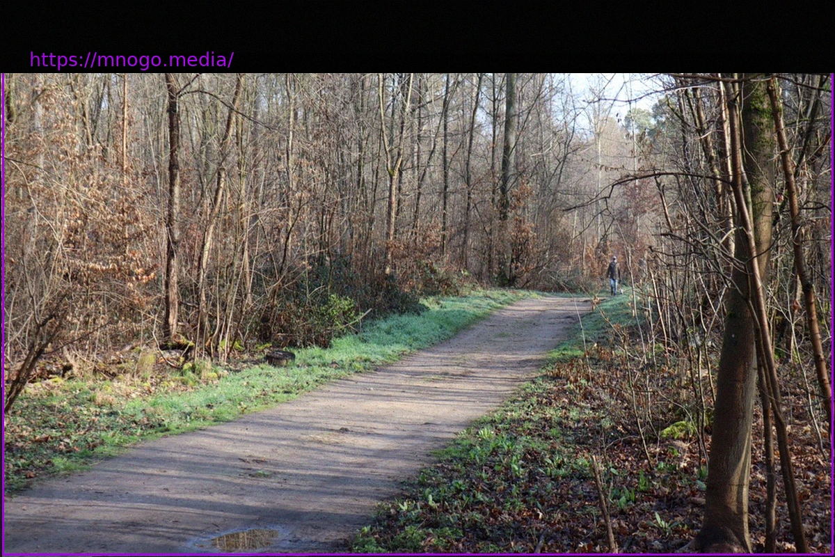 Preview Teenager Arrested After Discovery of Deceased 19-Year-Old Near Mannheim