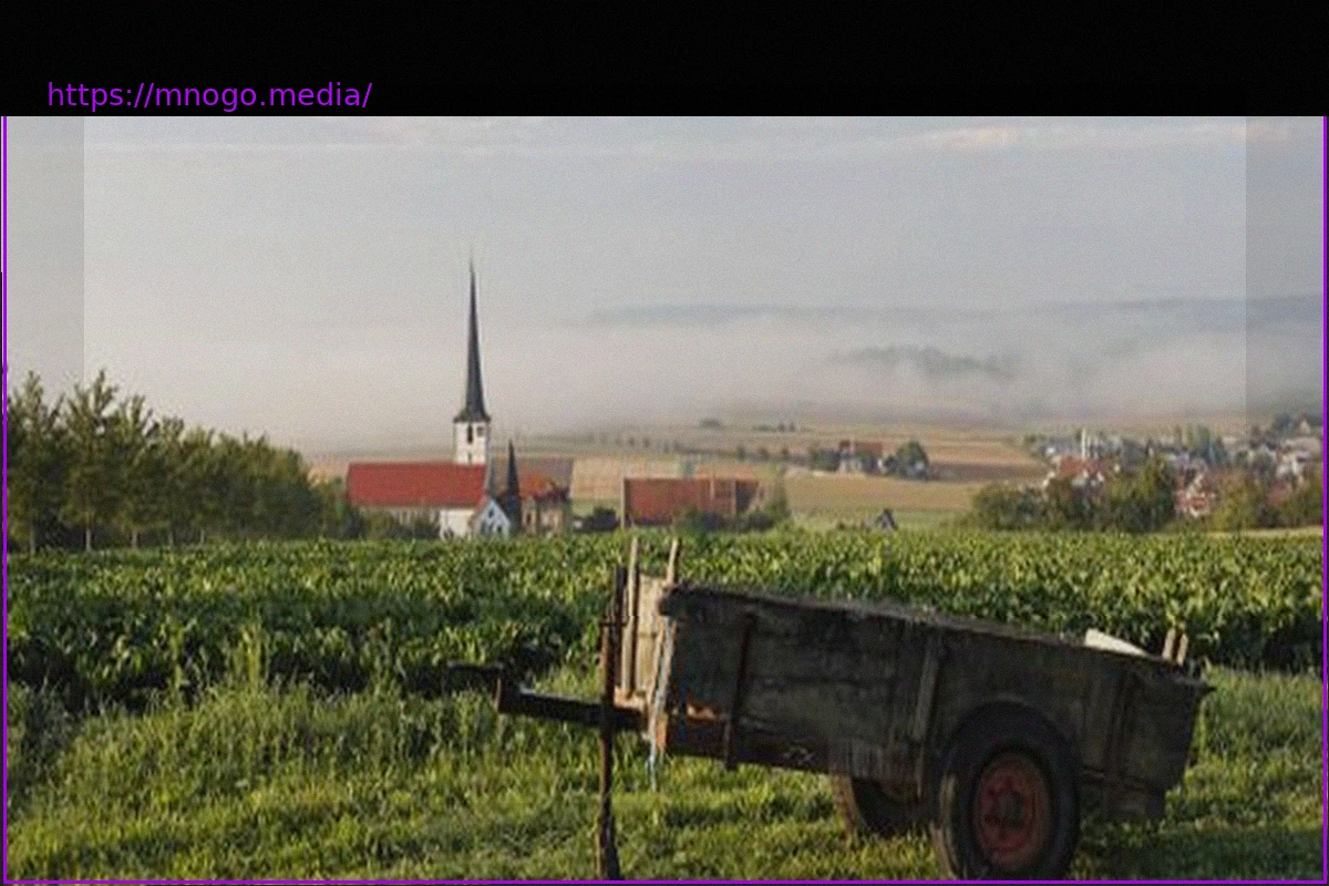 Preview Wülfershausen an der Saale Mayor Resigns Amid Election Fraud Scandal