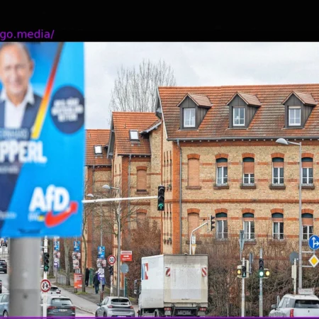 The AfD’s Triumph in Mannheim-North: A Look at the Sole Direct Mandate in Baden-Württemberg