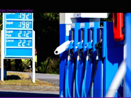 Germany to Release Oil Reserves and Limit Fuel Price Hikes in Response to Iran Conflict