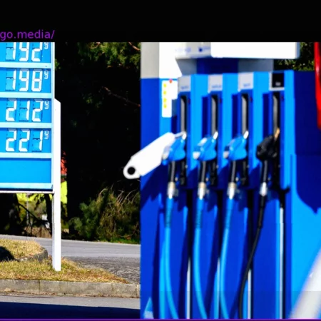 Germany to Release Oil Reserves and Limit Fuel Price Hikes in Response to Iran Conflict