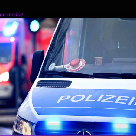 Driver Dies Following Fatal Accident on A5 Near Weiterstadt