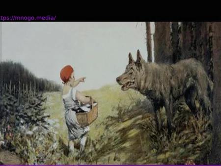 Wolf and Whale: Why Do We Care Differently?