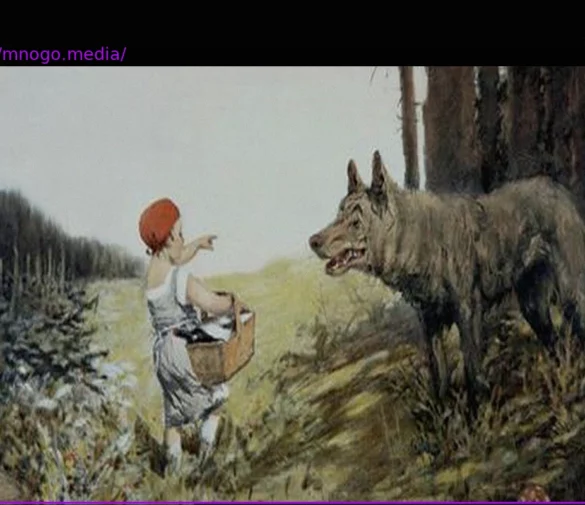 Wolf and Whale: Why Do We Care Differently?