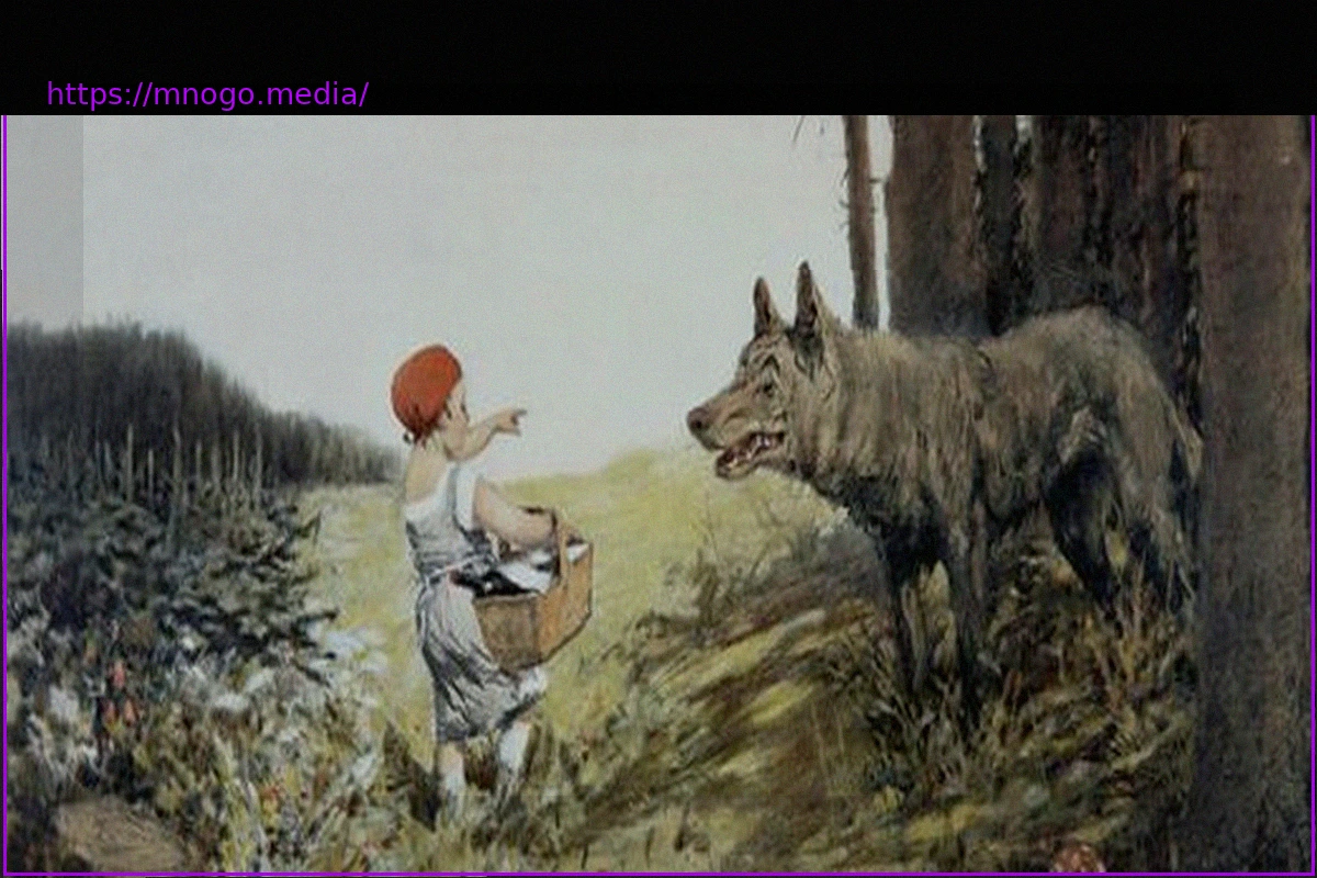 Preview Wolf and Whale: Why Do We Care Differently?