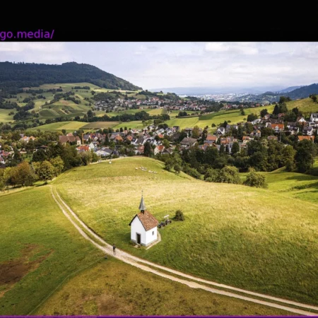 A Deeper Look into the Constituencies: What the Baden-Württemberg Election Reveals