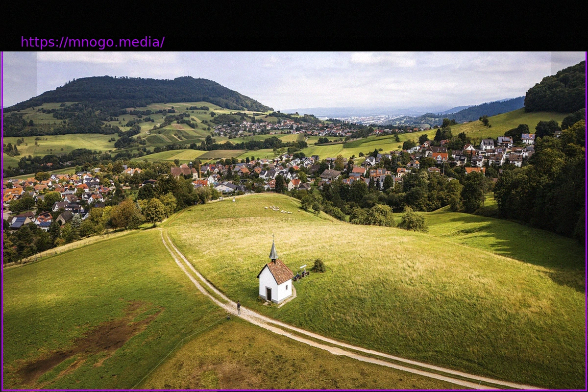 Preview A Deeper Look into the Constituencies: What the Baden-Württemberg Election Reveals