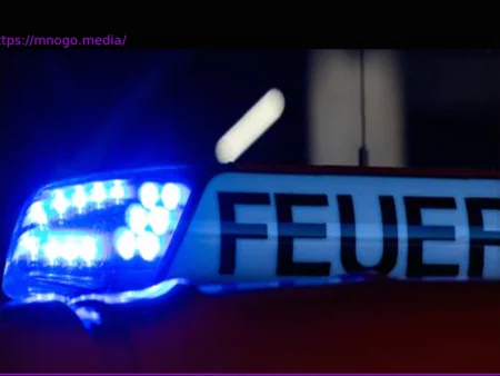 Nordrhein-Westfalen: Sturm sorgt für Verkehrschaos durch umgestürzte Bäume