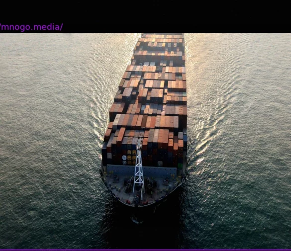 Geopolitical Risks: The Foreseeable Impact of Trump’s Policies