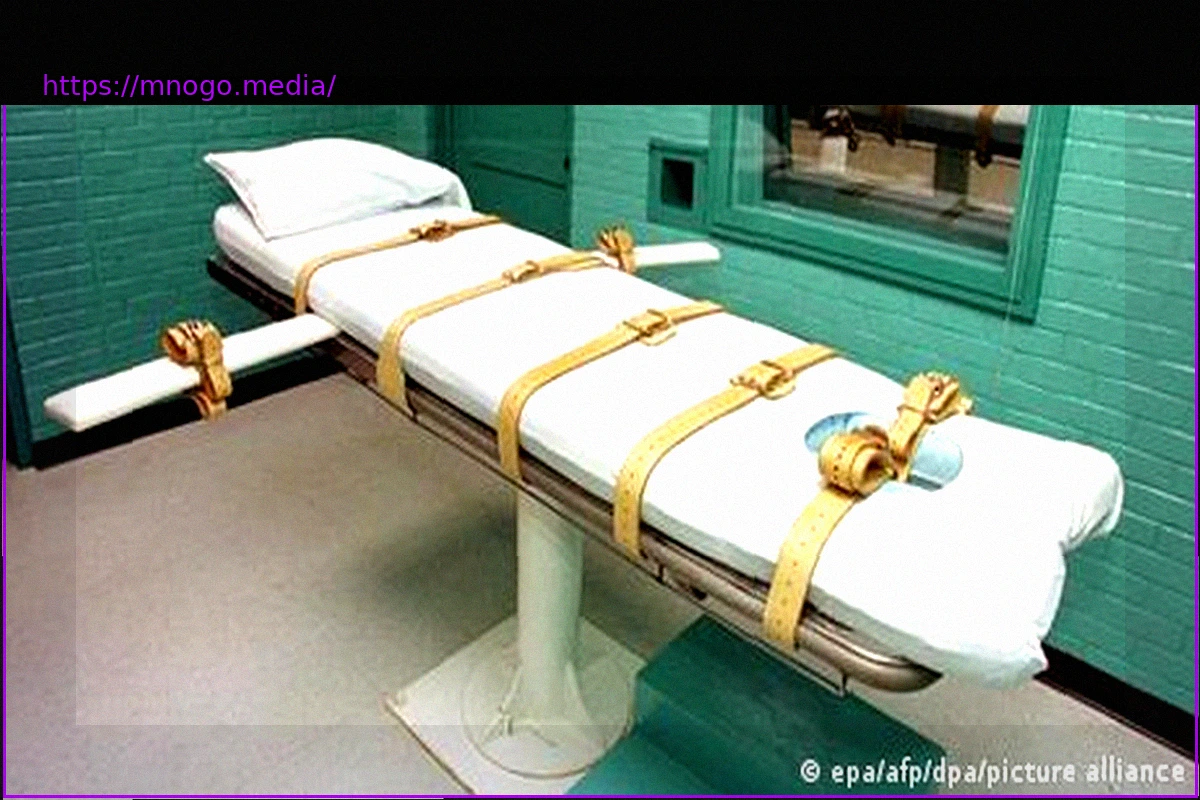 Preview The Death Penalty Worldwide: A Look at Imposition and Execution