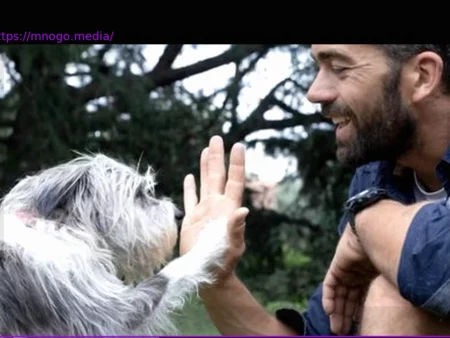 AI Emerges as a Beacon of Hope for Finding Lost Pets