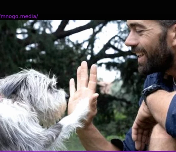 AI Emerges as a Beacon of Hope for Finding Lost Pets