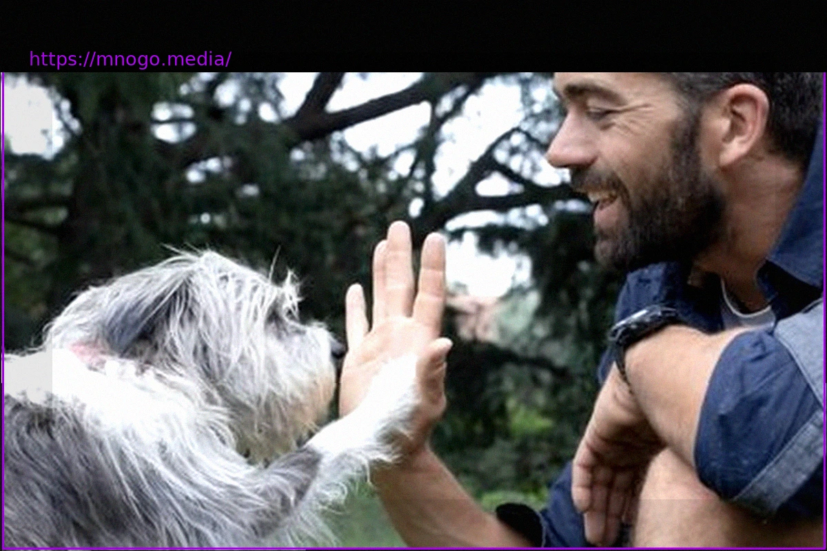 Preview AI Emerges as a Beacon of Hope for Finding Lost Pets