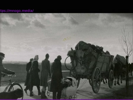 Displaced Germans: What Lessons Have We Learned?