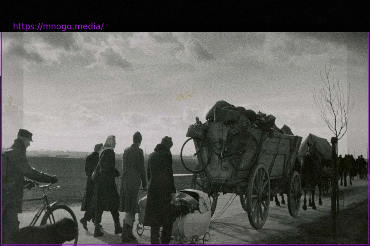 Preview Displaced Germans: What Lessons Have We Learned?