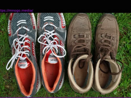 Sedentary Lifestyles Persist Despite Health Warnings: Why Efforts for More Activity Fall Short