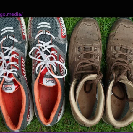 Sedentary Lifestyles Persist Despite Health Warnings: Why Efforts for More Activity Fall Short