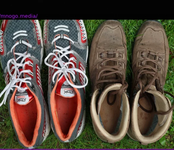 Sedentary Lifestyles Persist Despite Health Warnings: Why Efforts for More Activity Fall Short