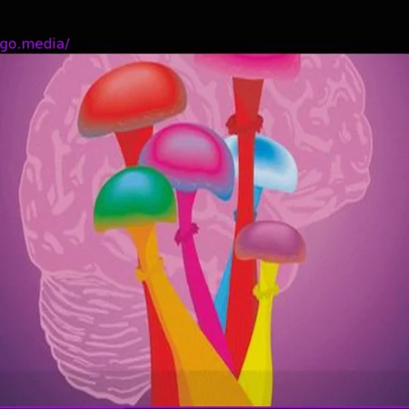 Psilocybin: Magic Mushrooms and Their Potential Against Severe Depression