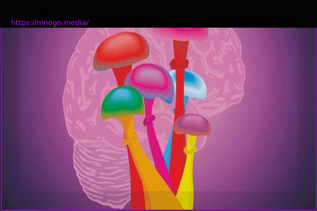 Preview Psilocybin: Magic Mushrooms and Their Potential Against Severe Depression