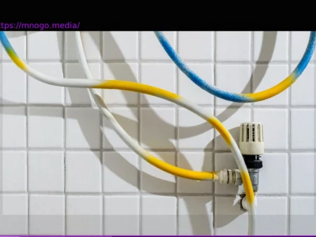 Backward Politics: How Politicians Mislead Voters on Heating and Combustion Engines