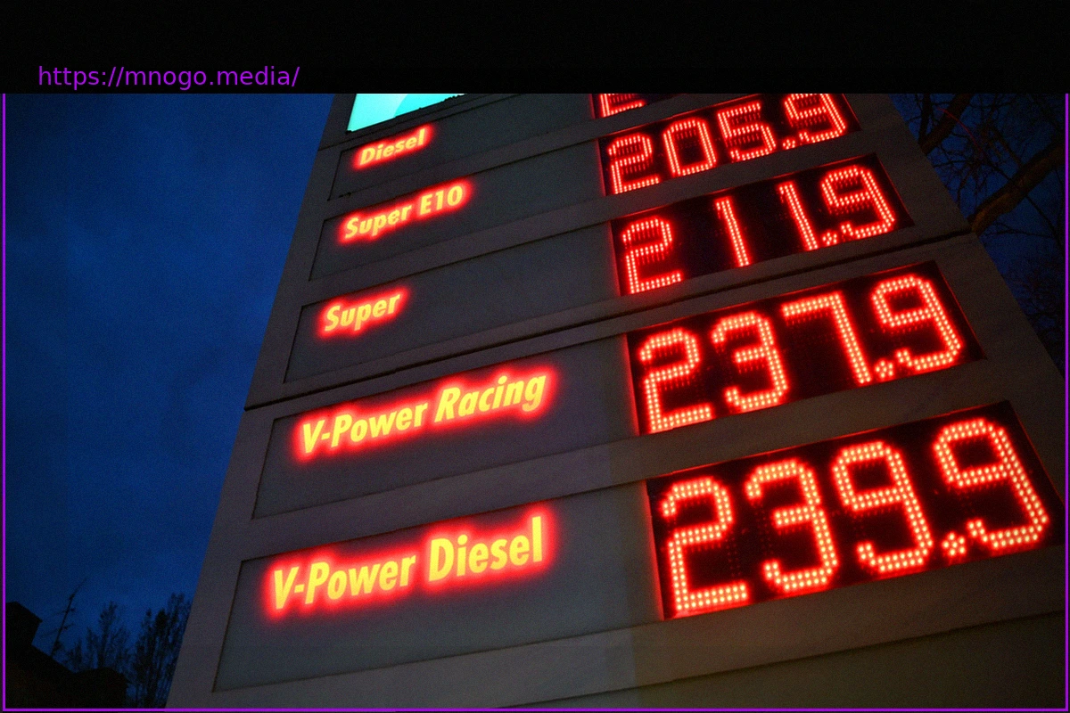 Preview Will Fuel Prices in Germany Soon Decrease?