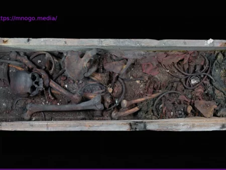 DNA-Forschung bestätigt Echtheit der Gebeine Ottos des Großen