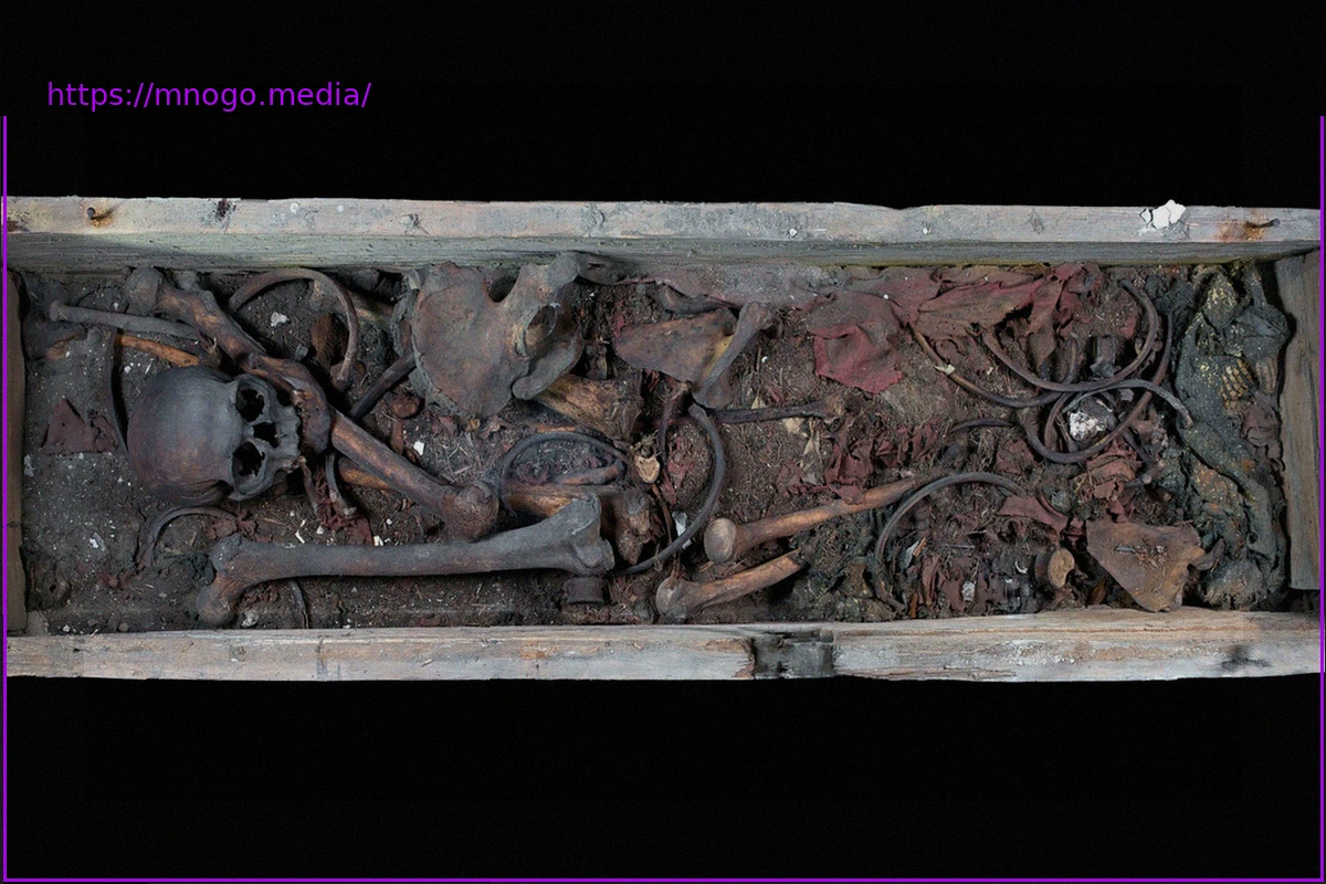 Preview DNA-Forschung bestätigt Echtheit der Gebeine Ottos des Großen